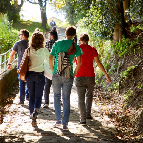 a group of people walking on a trail in the woods