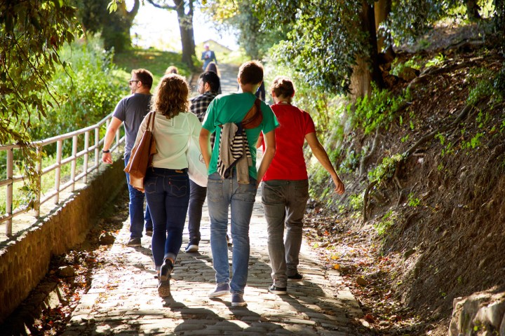 a group of people walking on a trail in the woods
